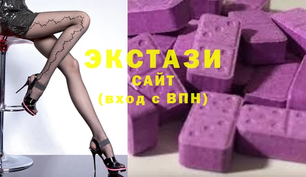 индика Богородицк