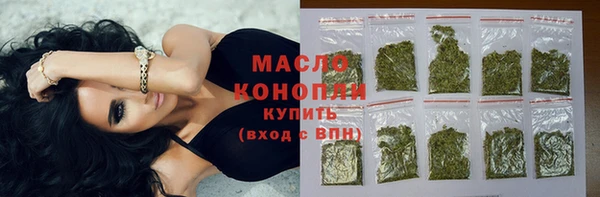 индика Богородицк