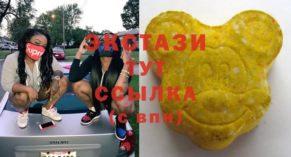 индика Богородицк