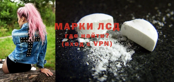 индика Богородицк