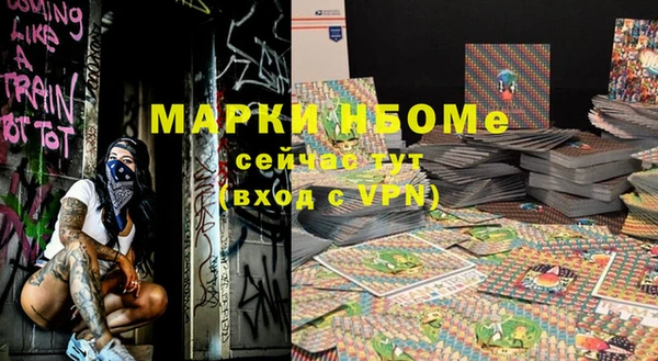 индика Богородицк